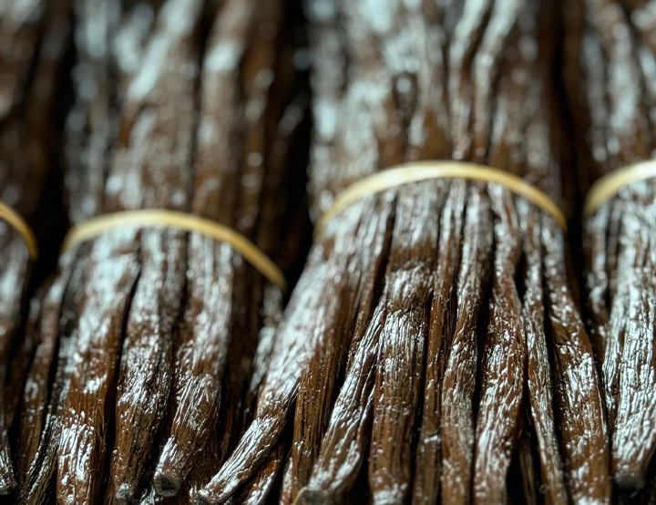 Bundles of Bourbon vanilla pods from Madagascar tied with raffia, close-up.