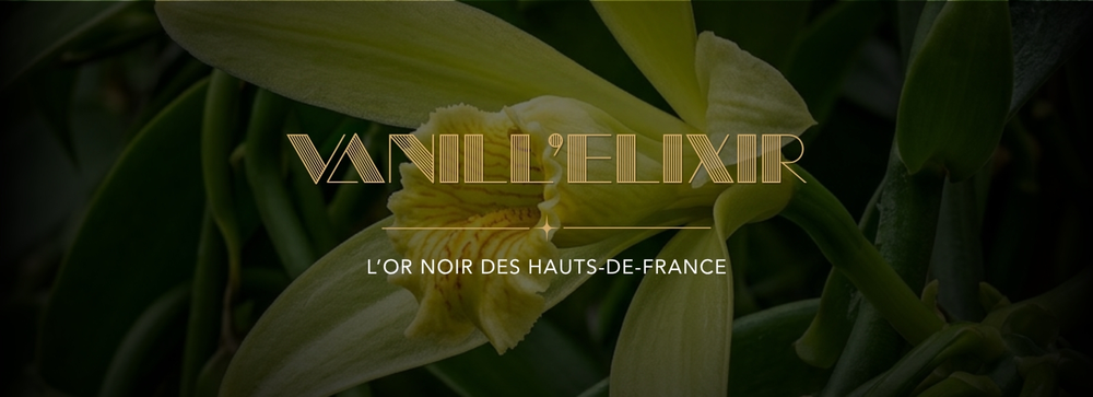Lire la suite à propos de l’article Vanill&rsquo;Elixir
