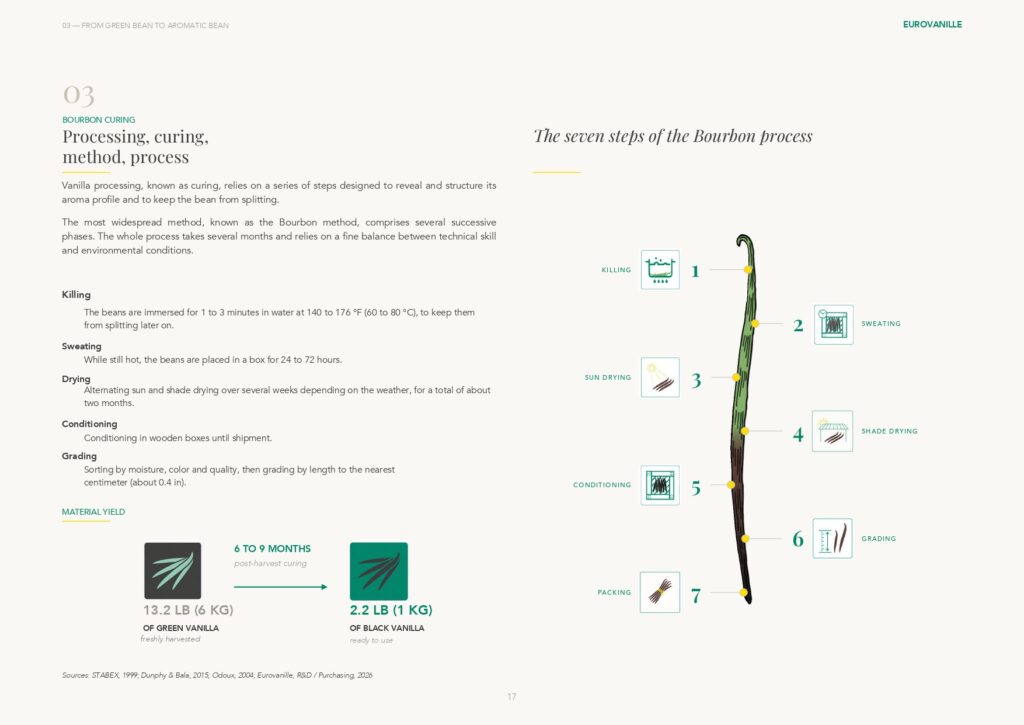 Page from The White Paper on Vanilla showing the seven steps of the Bourbon curing process.